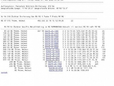 Thimm, Brieftaubenzucht
